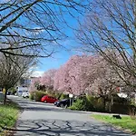 Gemuetliches Gaestezimmer An Der Bergstrasse Hessen Homestay
