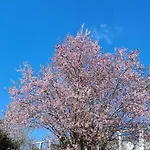 Gemuetliches Gaestezimmer An Der Bergstrasse Hessen Homestay