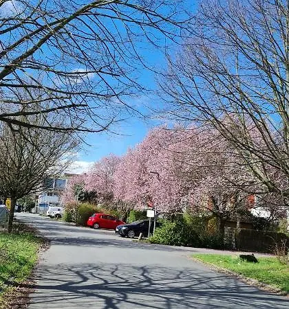 Gemuetliches Gaestezimmer An Der Bergstrasse Hessen Ubytování v soukromí