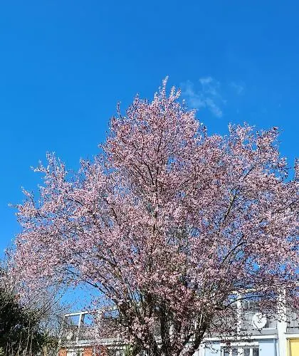 Gemuetliches Gaestezimmer An Der Bergstrasse Hessen Privat bolig