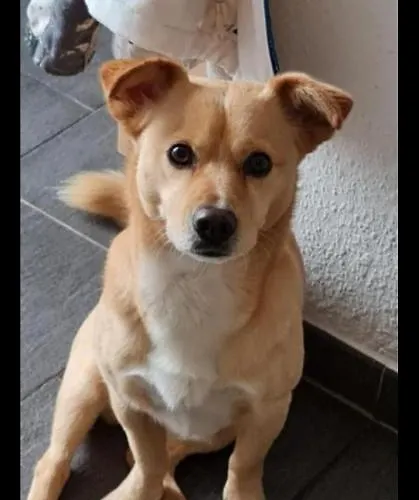 Kwatera prywatna Gemuetliches Gaestezimmer An Der Bergstrasse Hessen